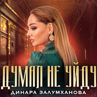 Динара Залумханова - Думал Не Уйду загрузить