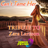 Disco Fever - Can't Tame Her (Tribute To Zara Larsson) загрузить