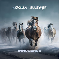 Dj Goja - Innocence Ft Suleymer загрузить