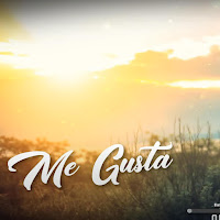 Dj Grossu - Me Gusta загрузить