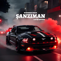 Dj Mehmet Tekin - Şanzıman Lap Işi Koydum загрузить