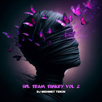Dj Mehmet Tekin - Spl Team Turkey, Vol. 2 загрузить