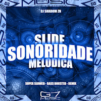 Dj Shadow Zn - Slide Sonoridade Melódica (Super Slowed Bass Boosted Remix) Ft Mc Flavinho загрузить