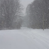 Дмитрий Гревцев - Холодный Ветер За Окном загрузить