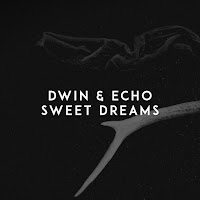 Dwin - Sweet Dreams Ft Echo загрузить