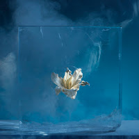 Else - Night Thoughts загрузить