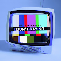 Emil Lassaria - Don't Say No Ft Meyah загрузить