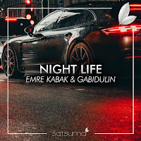 Emre Kabak - Night Life Ft Gabidulin загрузить