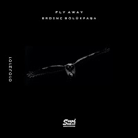 Erdinç Bölükpaşa - Fly Away загрузить