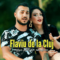 Flaviu De La Cluj - Cine Stie Sa Conduce загрузить