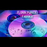 Florin Purice - Comoara Și Sărăcia загрузить