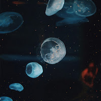 Forhill - Apparition загрузить