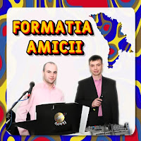 Formatia Amicii - Adio Dragă загрузить