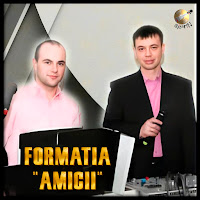 Formatia Amicii - Cu Masina загрузить