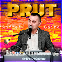 Formatia Prut - La Despărțire загрузить