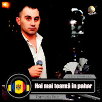 Formatia Prut - Hai Mai Toarnă În Pahar загрузить