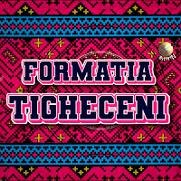 Formatia Tigheceni - Sânt Băiat De La Tigheceni загрузить