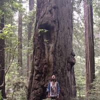 Francis Skyes - Here And Now загрузить