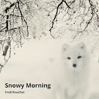 Fred Bouchal - Snowy Morning загрузить