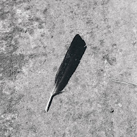 Function - New Designation загрузить