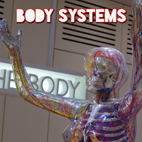 Fundamental Raps - Body Systems загрузить