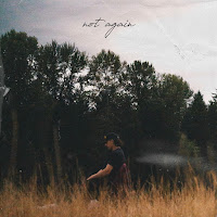 Gavn! - Not Again загрузить