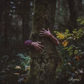 Gavn! - South Dakota (Stripped) загрузить