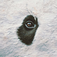 Gazzelle - Tutto Qui загрузить