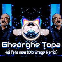 Gheorghe Țopa - Hai Fata Mea (Dip Stage Remix) загрузить
