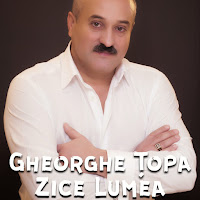 Gheorghe Țopa - Imi Place Viata загрузить