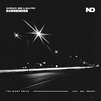 Giorgio Gee - Surrender Ft Nalyro загрузить