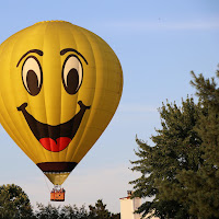 Gold-Tiger - Comedy Fun загрузить