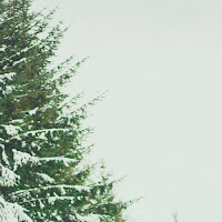 Graham - Love Like Kids загрузить