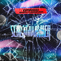 Gringo - Schlaghammer Ft Saad & Undacava загрузить
