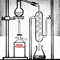 Grolok Panicrum - Papier загрузить
