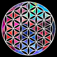 Handpan Joe - Perspective Evolution загрузить