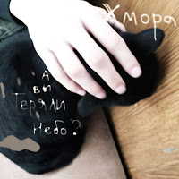 Обложка песни 