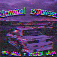 Hxspital Playa - Criminal Expanses Ft $$Ub Playa загрузить