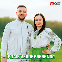 Ilie Maxian - Foaie Verde Brebenoc Ft Nătălița Olaru загрузить