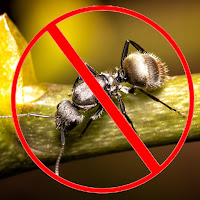 Insect Repellent - Ants Repellent загрузить