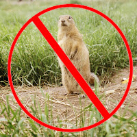 Insect Repellent - Natural Insect Repellent загрузить