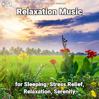 Instrumental - Genial Power Ft Relaxing Music & Deep Sleep загрузить