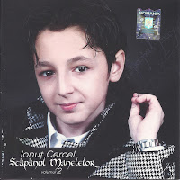 Ionut Cercel - Prietenia Este Ca Fratia загрузить