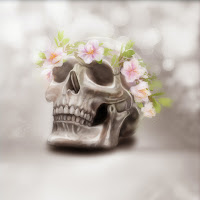 Jacob Lee - I Belong To You загрузить