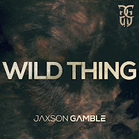 Jaxson Gamble - Wild Thing загрузить