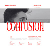Kaan Simseker - Confusion загрузить