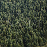 Kamaniu Silelis - Neistversiu загрузить