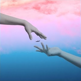 Обложка песни 