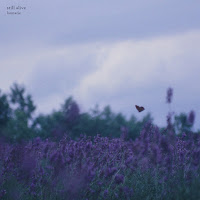 Lannarie - Still Alive загрузить