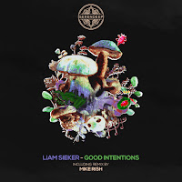 Liam Sieker - Good Intentions загрузить